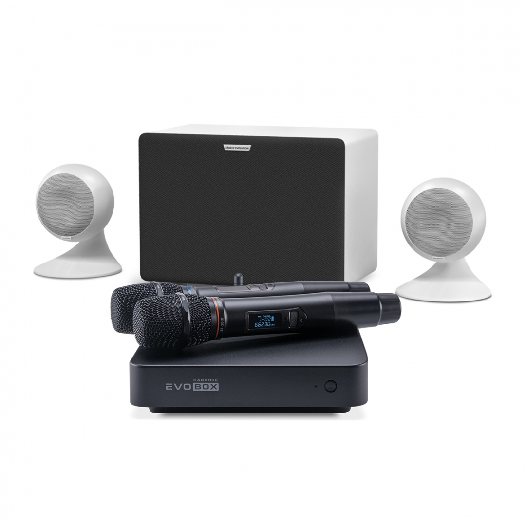 караоке-комплект EVOBOX Classic + EvoSound Sphere 2.1 в Тутаеве