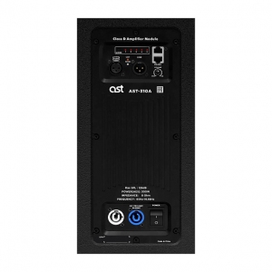 Активная акустическая система AST-310A в Тутаеве