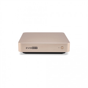EVOBOX с микрофонами в Тутаеве